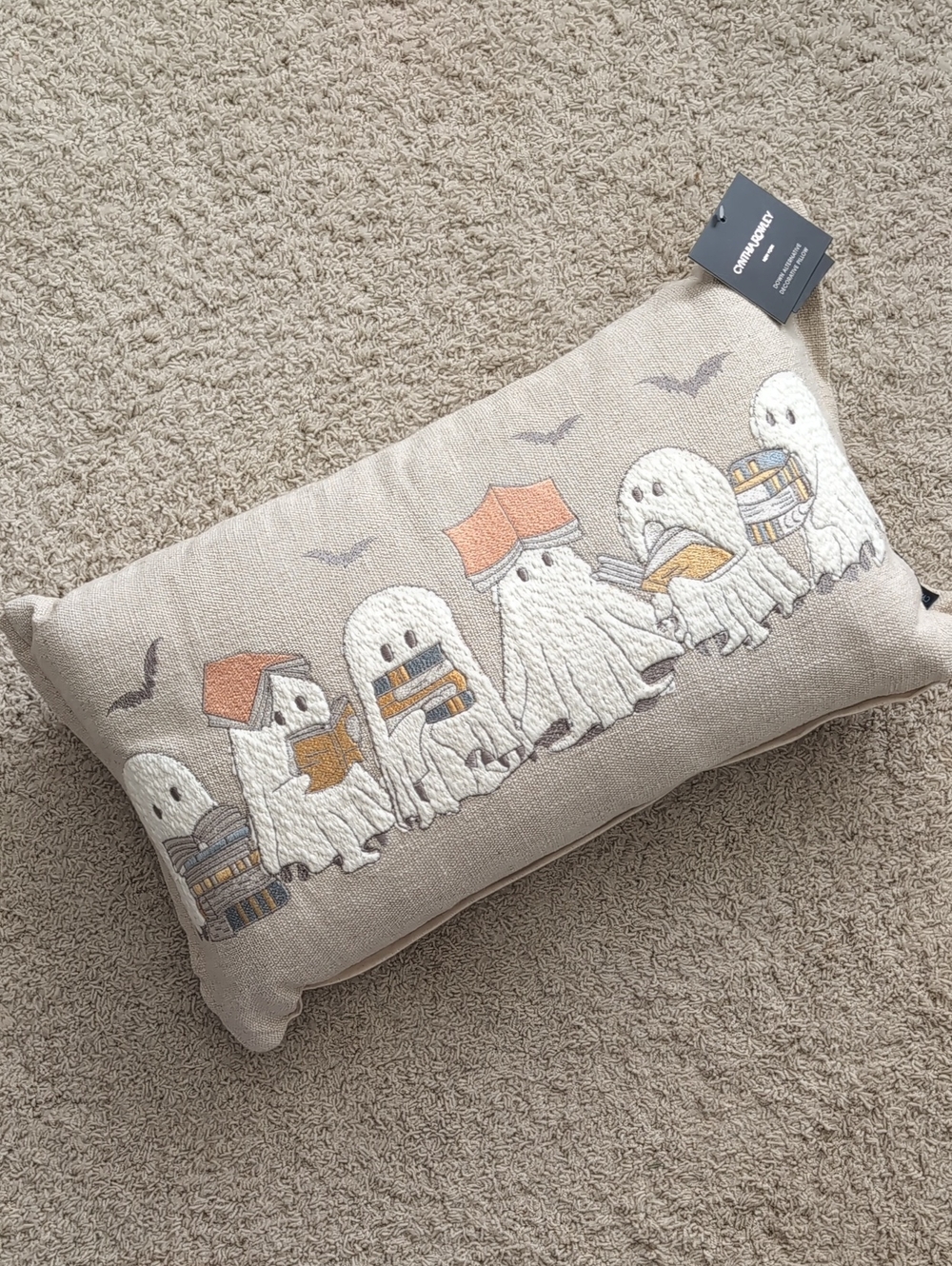 Cynthia Rowley Embroidered Reading Ghost Throw Pillow, Halloween Decor 📚👻